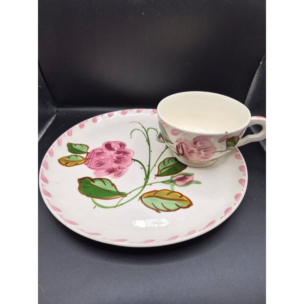 Blue Ridge Southern Potteries Hand-Painted Floral Cup Saucer Set - 7" Plate Cup